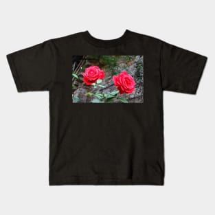 Rothenburg Roses Kids T-Shirt